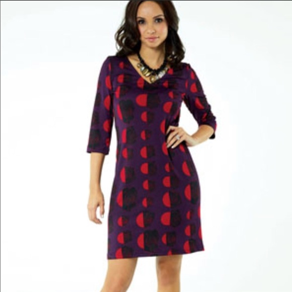 Tracy Negoshian Dresses & Skirts - Boutique-Tracy Negoshian Rachel dress rose/geo